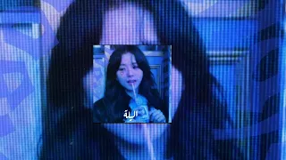 اليلة  عمرو دياب              دندنها
