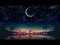 MERA MANN - JUSS [Slowed + Reverb] | New Punjabi Song 2024 | New Sad song |