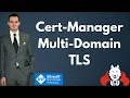 Multi Domain TLS in AKS - Cert Manager Multiple DNS Solvers