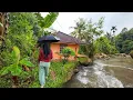 Download Lagu SUASANA SORE YANG TENANG, TURUN HUJAN DAN KABUT DI KAMPUNG NAMBAH BETAH, PEDESAAN SUNDA JAWA BARAT