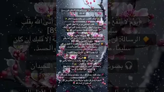 صفاء القلب نور يفتح بصيرة العقل آيات من القرآن اكسبلور 