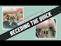How often should you do a dog s nails to recede the quicks ADVICE FROM A DOG GROOMER