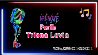 Download TRISNA LEVIA - PERIH | KARAOKE TANPA VOKAL MP3