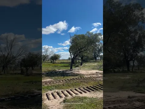 They remove trees using a heavy chain
