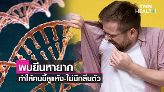  ทำไมบางคนถึงไม่มีกลิ่นตัวแม้ไม่ใช้ผลิตภัณฑ์ระงับกลิ่น 