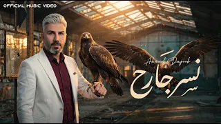 أحمد ديوب نسر جارح دندنها