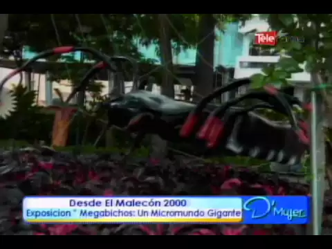 Megabichos: Una actividad familiar para este fin de semana