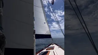 Sailing Across the Sea Again! | Sailing Avocet