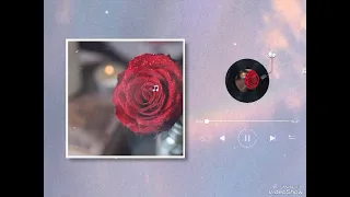 هلا هلا يا صبايا ويا بنات دف  هلا هلا يا صبايا ويا بنات دف