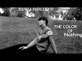 THE COLOR OF NOTHING                                       (A Song by Auro hollO)
