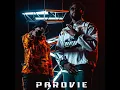 ParoVie