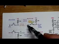 Pull Up Resistor Explained By Electronzap