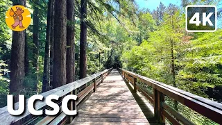 UCSC Campus Walking Tour 4k Binaural Sound