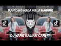 Download Lagu DJ - HIDING HALA HALA HAIDING X JEDAG JEDUG FULL BASS DJ TIK TOK YANG LAGI TRENDING TERBARU2021