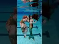 Swimming with mermaids I m HOOKED