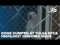 Dogs dumped at Tulsa SPCA highlight ongoing problem in Oklahoma