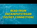 Read from DataInputStream Socket connection