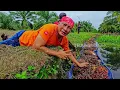 Download Lagu Gurih Nikmat Bolu Bayam Abon Lele | JEJAK SI GUNDUL (13/07/25)