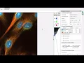 Image-Pro v11 AutoQuant Deconvolution