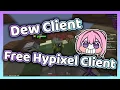 Hypixel 2026 INFINITY FLY - Dew Client