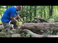 Poulan vs Stihl