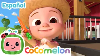 Top 5 canciones para comer saludable 🌽🥦🍅 Canciones Infantiles | CoComelon en Español