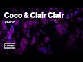 Coco Clair Clair - Cherub tree STAGED