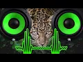 Download Lagu MEGA BASSBOOSTED MIX BASS TEST! - MAGICBOOSTERZ [BassBoosted]