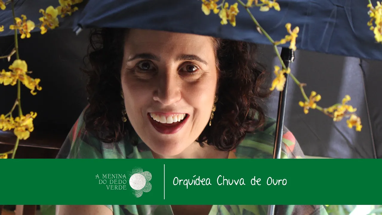 COMO CULTIVAR ORQUÍDEA CHUVA DE OURO