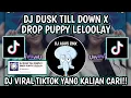 Download Lagu DJ DUSK TILL DOWN X DROP PUPPY LELOLAY || DJ VIRAL TIKTOK YANG KALIAN CARI!!