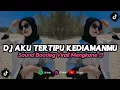 DJ AKU TERTIPU KEDIAMANMU | DJ KAU TIGAKAN CINTAKU | FREE FLM