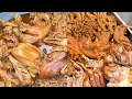 Download Lagu 【東北裘仟尺】麻辣卤肉，你会喜欢吗#food #cooking #客家美食 #cooking #小吃
