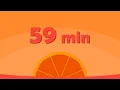 59 Minute Timer Basic Orange
