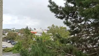                                                                            دندنها