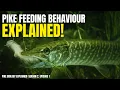 Why Pike Feed... and Why They Don’t | Pike Biology Explained (Season 2: Ep 1)