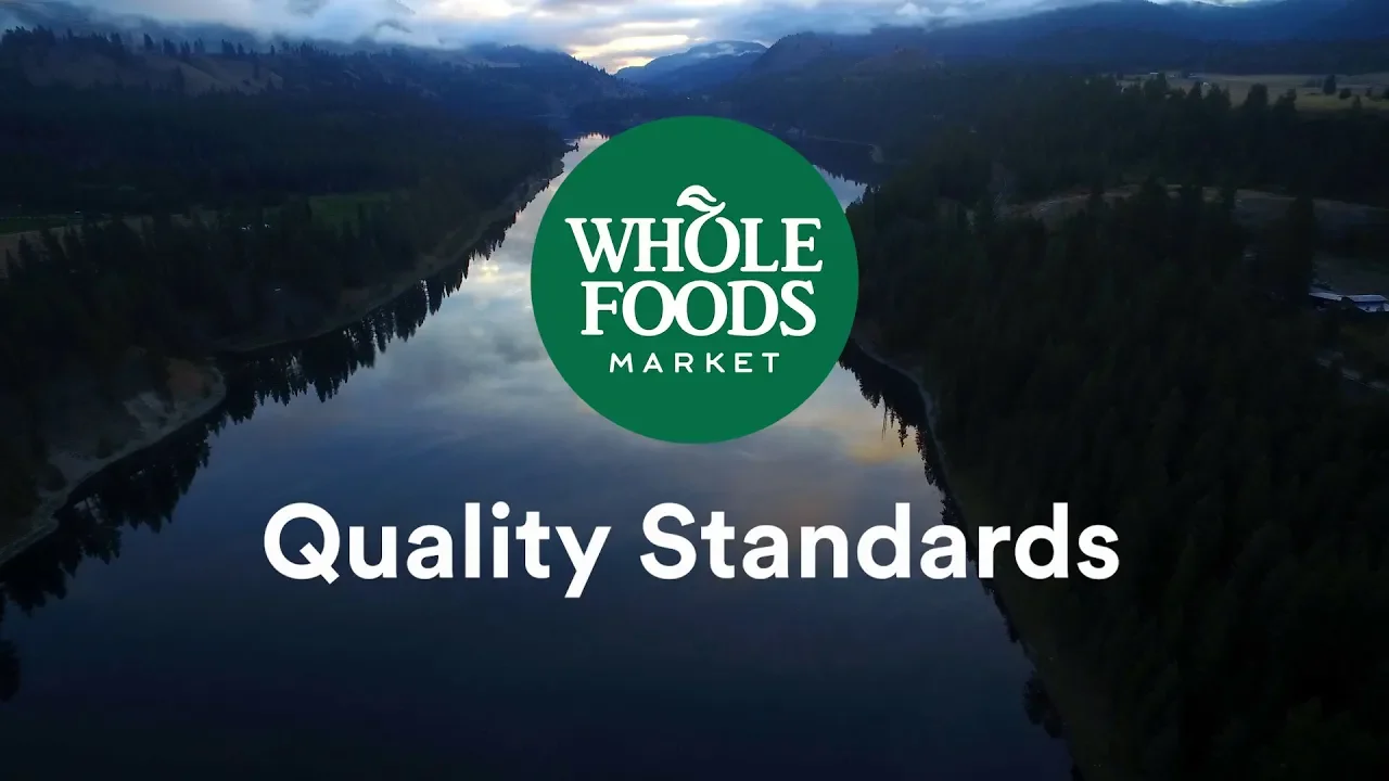 Outline Video Quality Standards Team Overview l Whole Foods Market