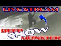 LIVE - WINTER WONDERLAND