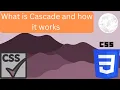 CSS how does cascade works In