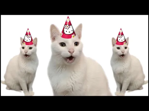 Download MP3 HAPPY BIRTHDAY FROM THE CATS