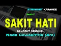 Download Lagu SAKIT HATI KARAOKE NADA COWOK/PRIA | Meggy Z