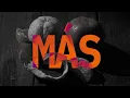 Las Pelotas - Sin la piel (Disco Completo - Visualizer)