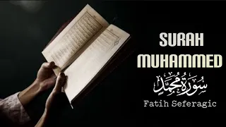 Download Beautiful Recitation /Surah Muhammad /Fatih Seferagic /Qur'an Recitation #qari #quran MP3