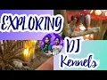 Lagu Let's explore DJ Kennels zoo|jeddah city