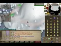 Penguin Agility - Regular VS Tick Perfect
