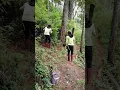 Download Lagu Bahasa Sunda vs Bahasa Jawa,Lucu,Bikin Ngakak #shorts #short #viral