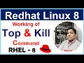 Linux-8 Top Kill Pidof Command How to use Top Kill Command in Linux Part-19 In Hindi