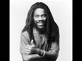 Dennis Brown  - Wolf and Leopards DUB