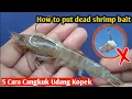 Download Lagu Begini Cara Benar menCangkuk Udang kopek