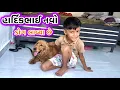 Lagu હાર્દિકભાઈ નવો ડોગ 🐕🐕‍🦺લાવ્યા છે happy hardy dog Hardik new dog live #dog #dog 