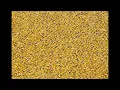 MHD - Afro Trap Part 3 Champions League (Zoltan Remix)